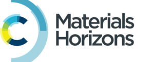 C Materials Horizons logo